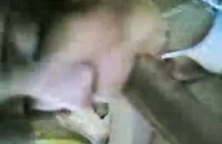 Blowjob von vollbusi ...
