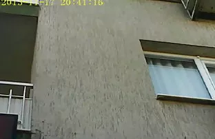 Professor gezappt Pu ...