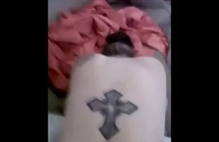 Normale Kuh kommuniz ...