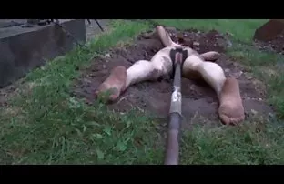 Sex mit Jungen Freun ...