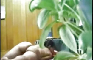Classy Blowjob