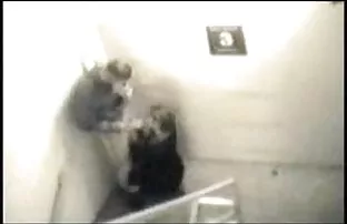 Der Wächter im Käfig ...