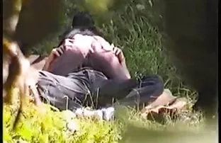 Gehorsam erzieht in  ...