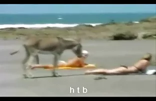 Kritzeln Blowjob